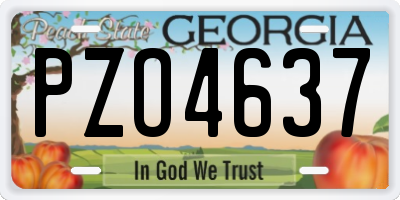 GA license plate PZO4637