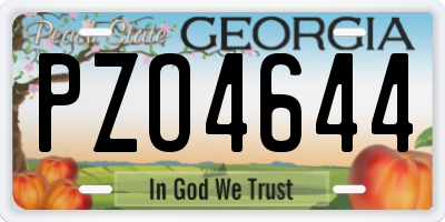 GA license plate PZO4644