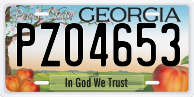 GA license plate PZO4653
