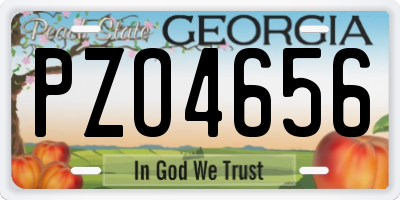 GA license plate PZO4656