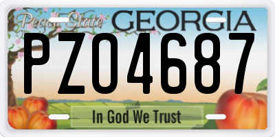 GA license plate PZO4687