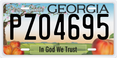 GA license plate PZO4695