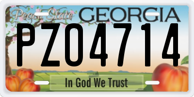 GA license plate PZO4714