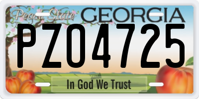 GA license plate PZO4725