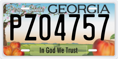 GA license plate PZO4757