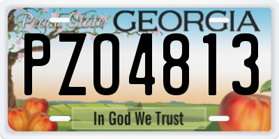 GA license plate PZO4813