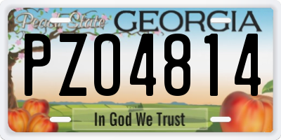 GA license plate PZO4814