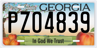 GA license plate PZO4839