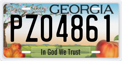 GA license plate PZO4861