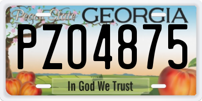 GA license plate PZO4875