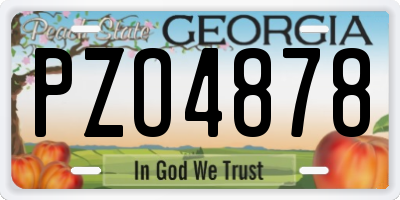 GA license plate PZO4878