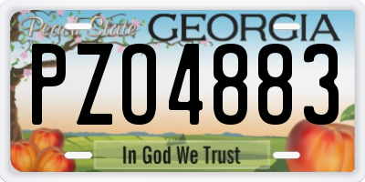 GA license plate PZO4883