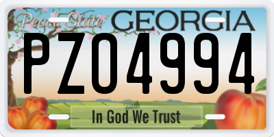 GA license plate PZO4994