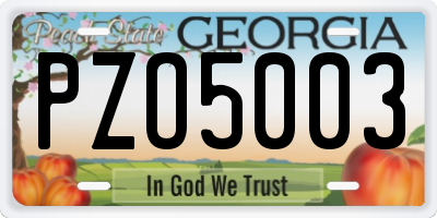 GA license plate PZO5003