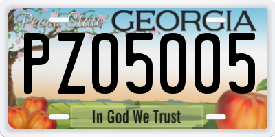 GA license plate PZO5005