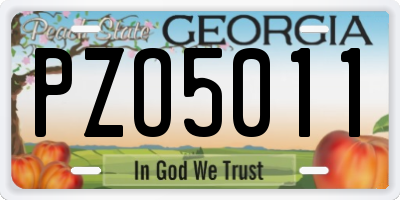 GA license plate PZO5011