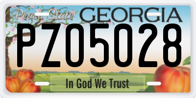 GA license plate PZO5028