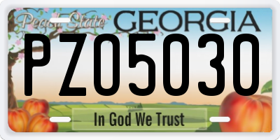 GA license plate PZO5030