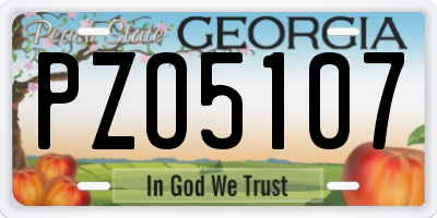 GA license plate PZO5107