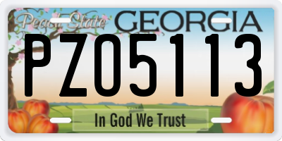 GA license plate PZO5113