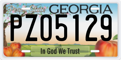GA license plate PZO5129
