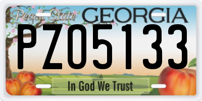 GA license plate PZO5133