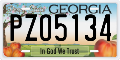 GA license plate PZO5134