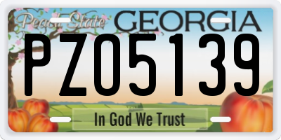 GA license plate PZO5139