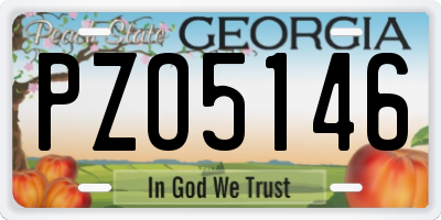 GA license plate PZO5146