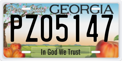 GA license plate PZO5147