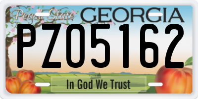 GA license plate PZO5162