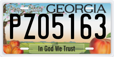 GA license plate PZO5163