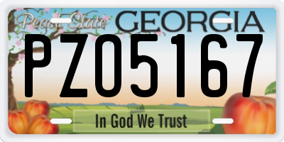 GA license plate PZO5167