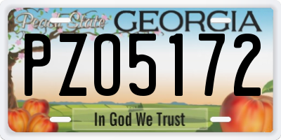 GA license plate PZO5172
