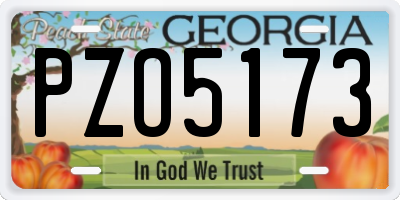 GA license plate PZO5173