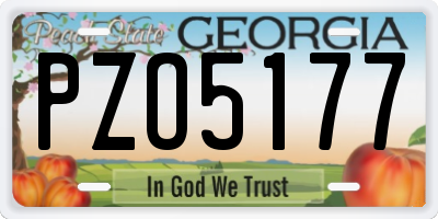 GA license plate PZO5177