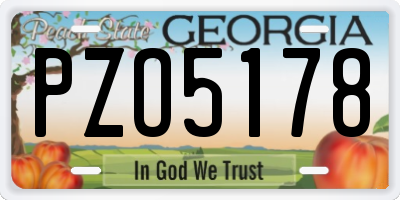 GA license plate PZO5178