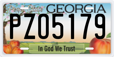 GA license plate PZO5179