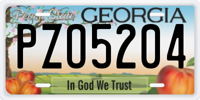 GA license plate PZO5204
