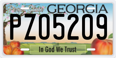 GA license plate PZO5209