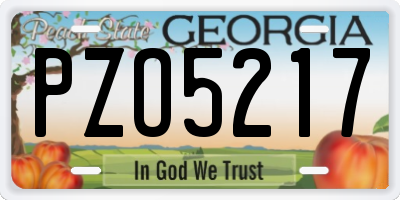 GA license plate PZO5217
