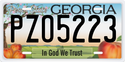 GA license plate PZO5223