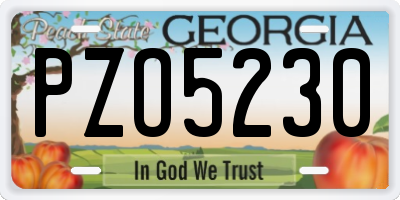 GA license plate PZO5230