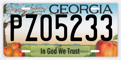 GA license plate PZO5233