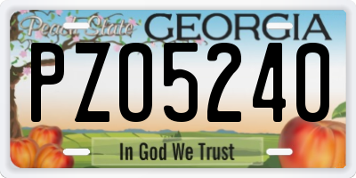 GA license plate PZO5240