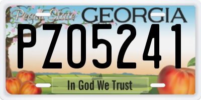 GA license plate PZO5241