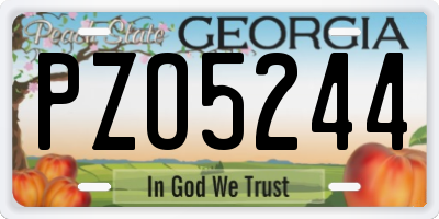 GA license plate PZO5244