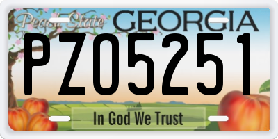 GA license plate PZO5251