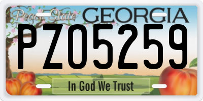 GA license plate PZO5259
