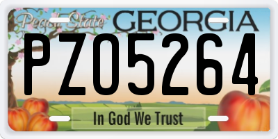 GA license plate PZO5264
